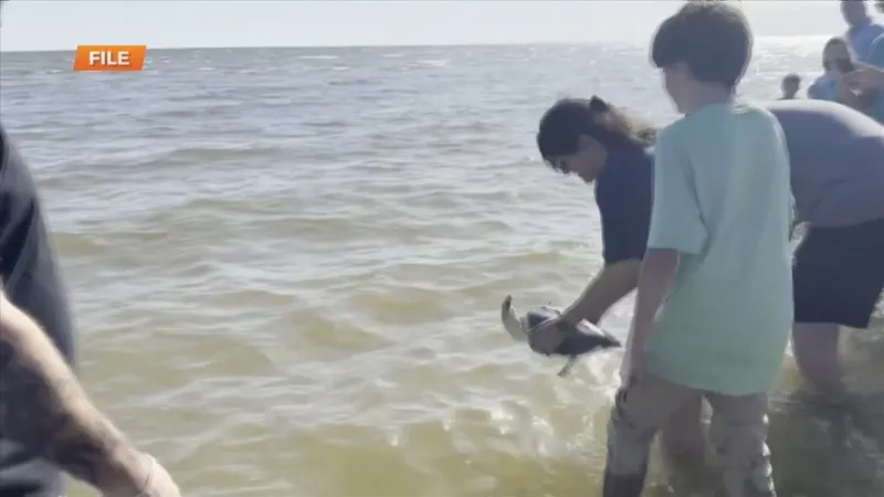 Mississippi Aquarium releasing turtles in Alabama