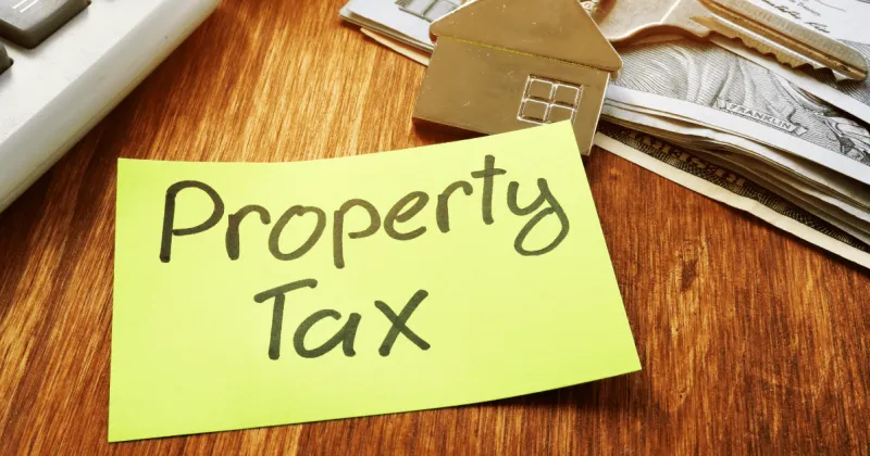 Delinquent property tax auction this month