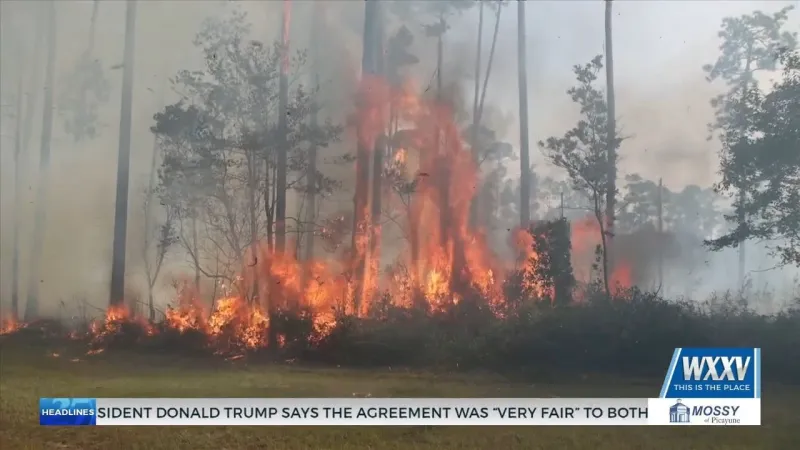 Fire crews battled woods fire near Bethel Road Wednesday