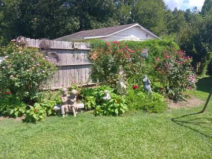 August Yard of the Month: Vaughan-Peacock home and gardens