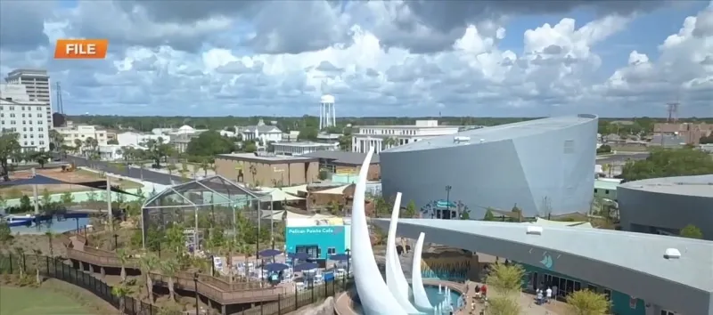 Mississippi Aquarium celebrating six years on the Gulf Coast