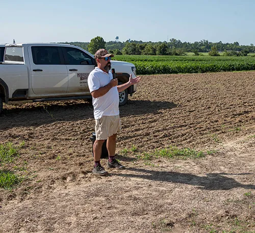 Mississippi soybean, corn crops may set yield records