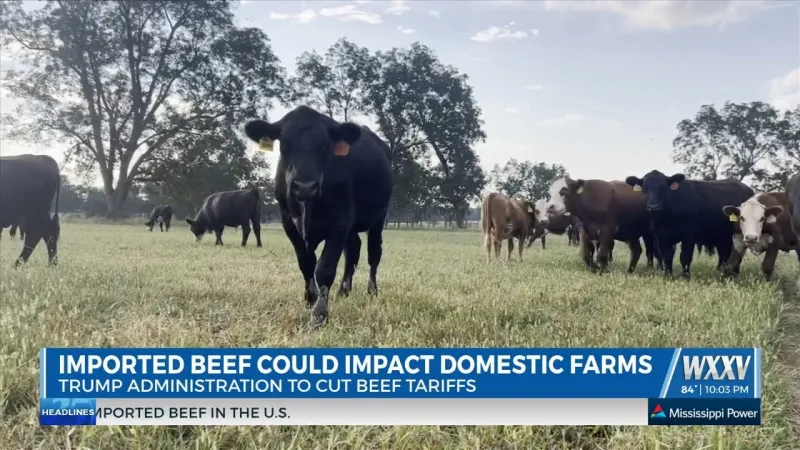 Local farmers concerned about impacts of increased beef imports as President Trump cuts tariffs