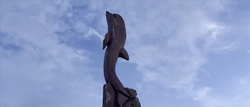 21 Years after Katrina Gulf Coast tree sculptures keep stories of resilience alive