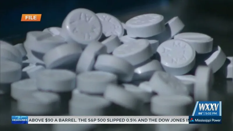 Opioid settlement grant applications open on MSAG website