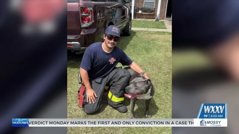 Ocean Springs crews contain house fire, rescue two dogs over the weekend