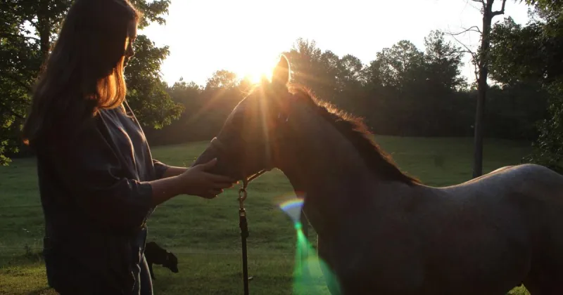 Equine center helps soothe emotional, mental and recovery needs