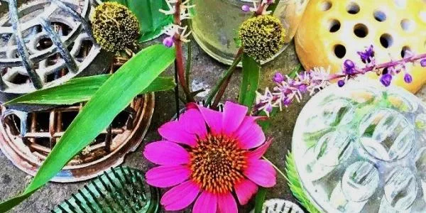 Flower Frogs