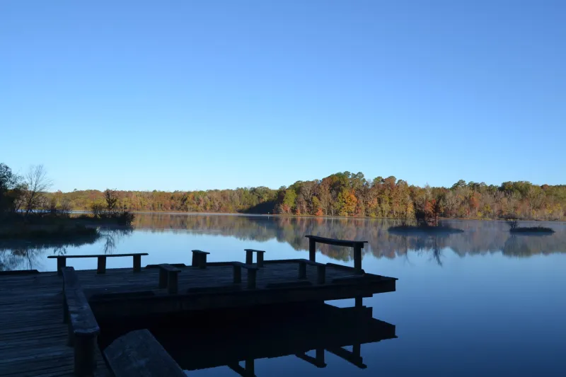 Holly Springs National Forest offers outdoor adventure despite storm damage