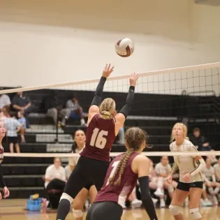 Lady Whippets look to rebound in upcoming matches