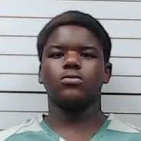 Lee County teen charged as adult with rape, burglaries