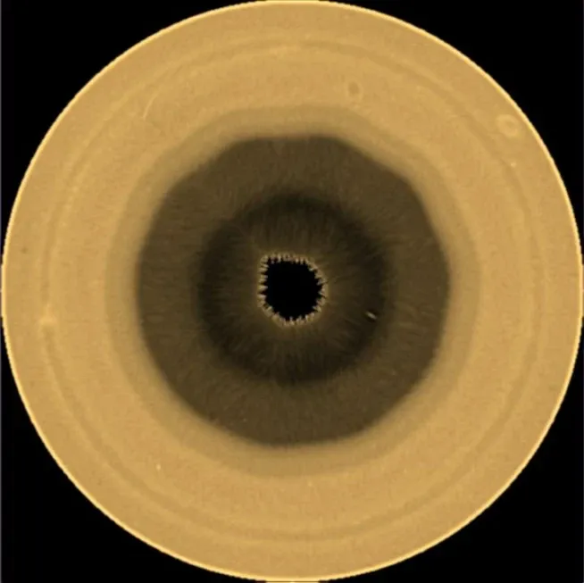 Scientists find a huge 10-sided wave pattern swirling in the clouds over Saturn's south pole
