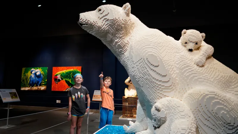 'Animal Super Powers' exhibit with LEGO bricks coming to Mississippi Museum of Natural Science
