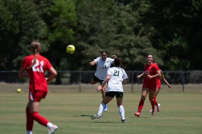 Lady Statesmen fall to Tigers 5-1
