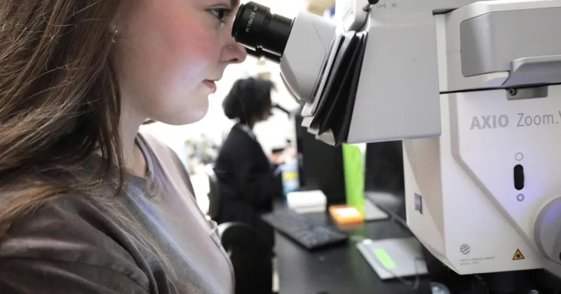 Ole Miss researchers explore how developing hearts recover from early errors