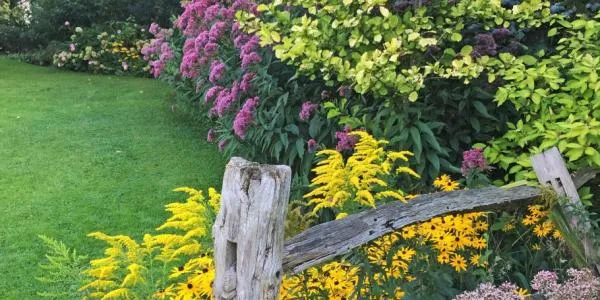 Native plant gardens