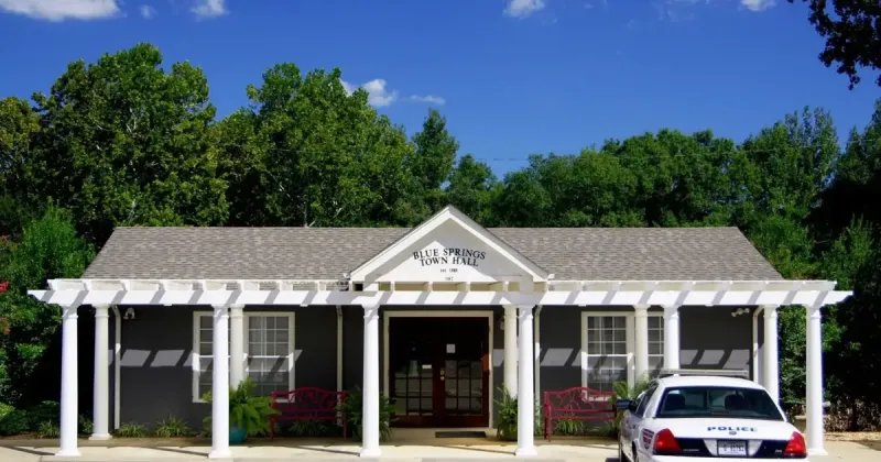 Blue Springs Day set for Saturday