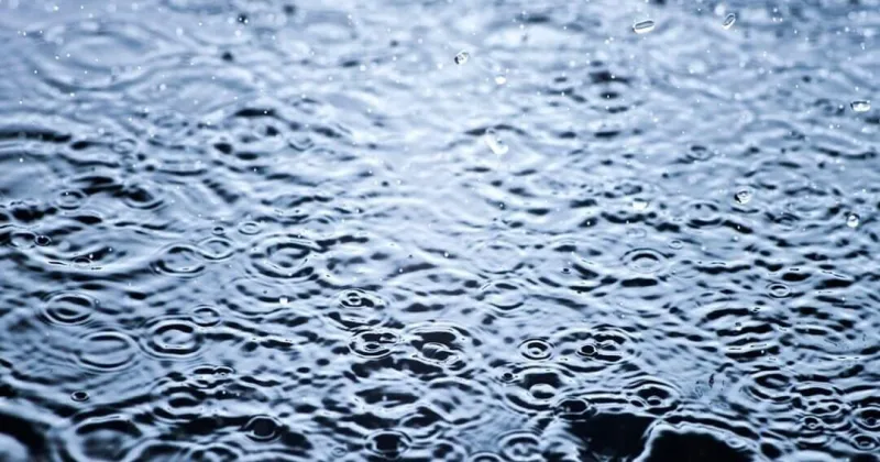 Septembers with the most precipitation in Mississippi since 1895
