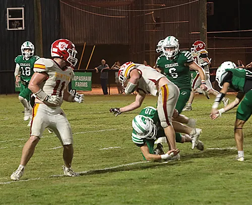 Cougars, Wildcats both suffer losses Friday night