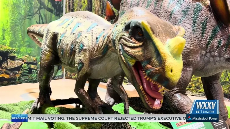Jurassic Quests brings prehistoric adventures to the Coast Coliseum