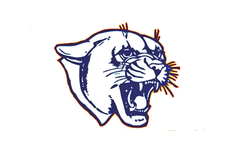Cougars Fall at Scott Central 20-6