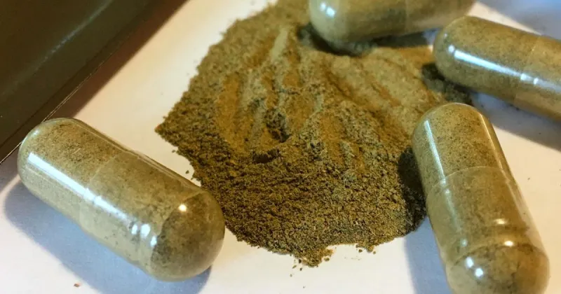 Deaths of students at the University of Mississippi cast spotlight on kratom