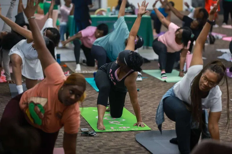 Organizations curate mental health session for metro area residents