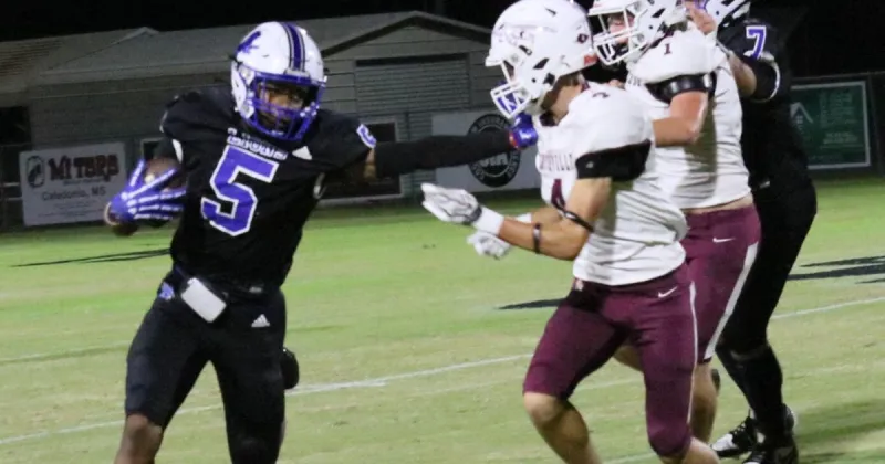 Hamilton's offensive weapons shine against Smithville
