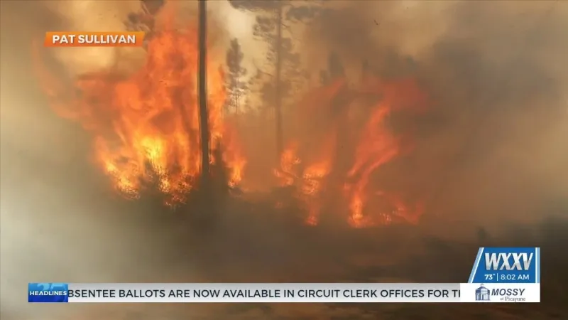 Harrison County fire crews battle large woods fire Sunday