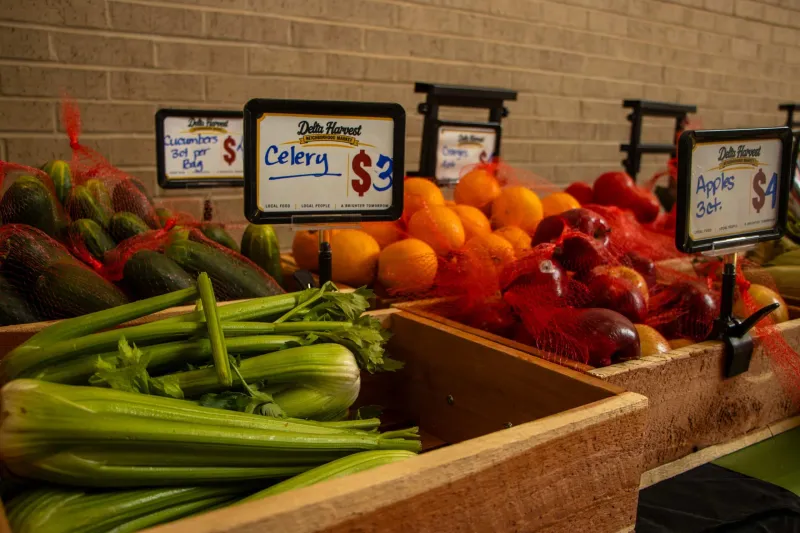 GALLERY -- The Delta Harvest Neighborhood Market returned to Jackson Medical Mall as the Itta Bena Economic & Culture Alliance (IBECA) continued its effort to connect...