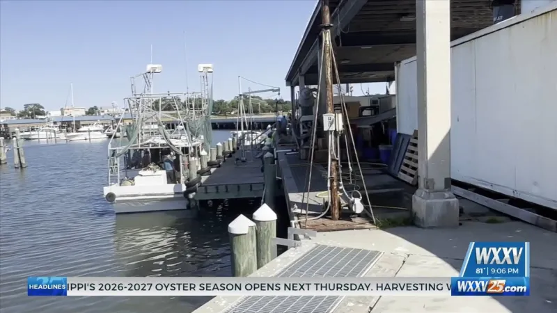 Mississippi 2026-27 oyster season opens October 1
