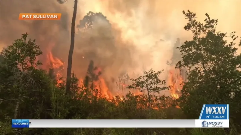 Recent woods fires prompt fire safety reminder for Mississippi Gulf Coast residents