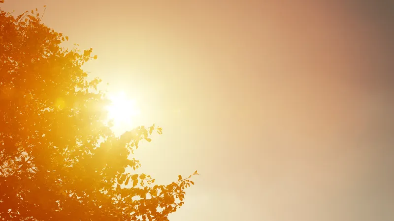 August was hottest on record, and Mississippi could tell