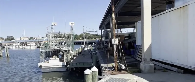 Mississippi oyster season opens Thursday