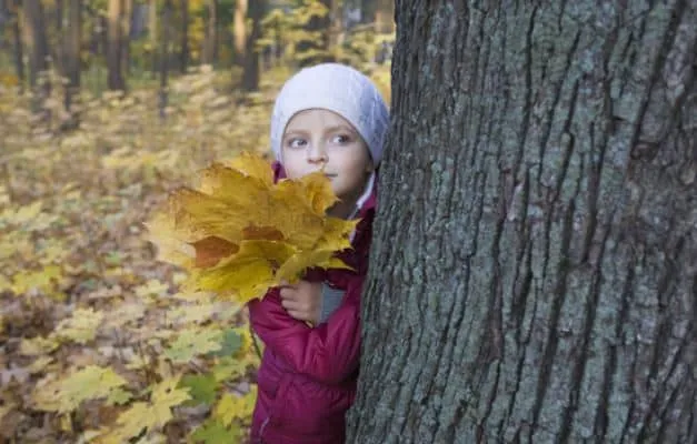 Your Mississippi forecast for Thursday, October 1