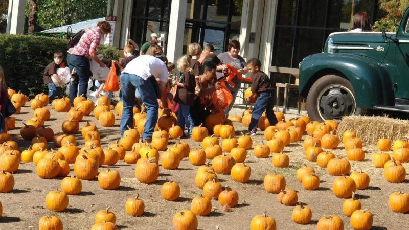 Pumpkin Adventure returning to Mississippi Agriculture Museum this October