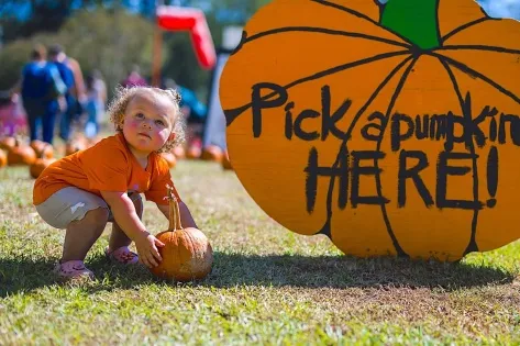 Mississippi Agriculture and Forestry Museum to Hold Annual Pumpkin Adventure