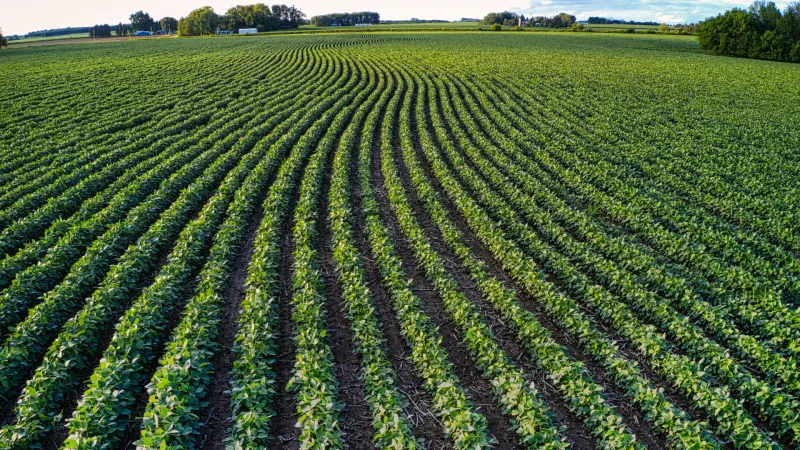 Mississippi ag producers to see $423 million in farm safety net improvements