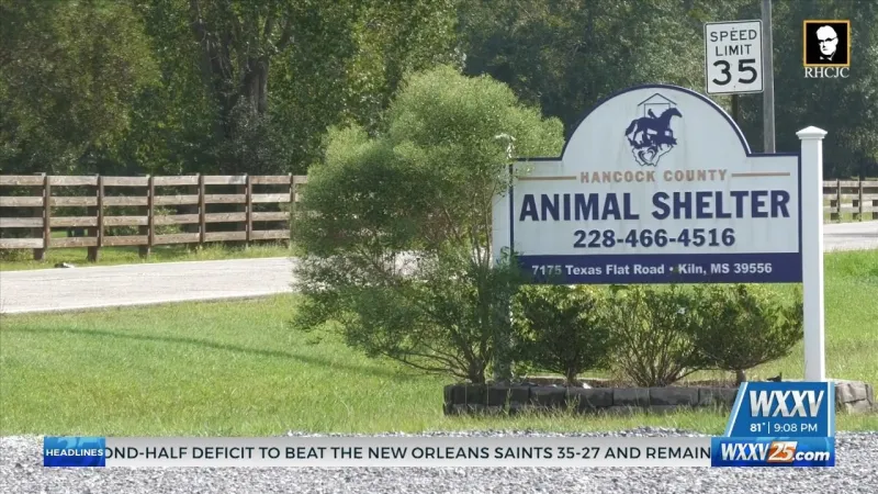 Hancock County moving forward with plans for new animal shelter