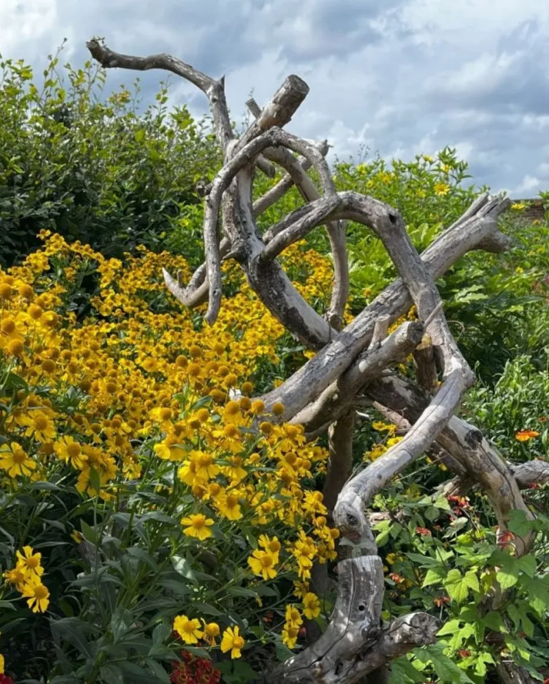 Felder Rushing: A Little Mess Makes a Garden Come Alive