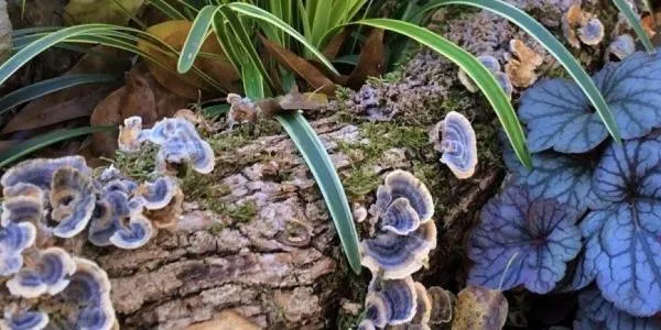 Living with dead stuff