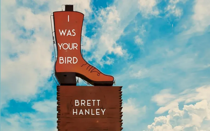 MSU English faculty member takes flight with debut poetry collection