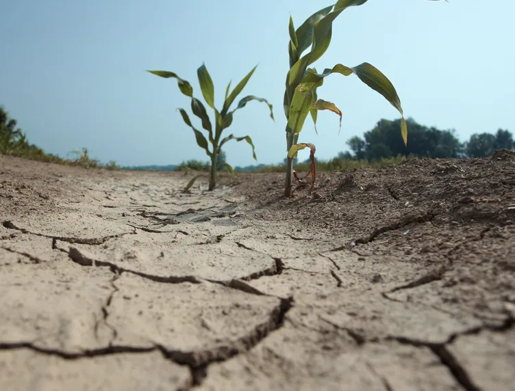 Robert Earl's News-Notes: September was second hottest on record with lowest rainfall