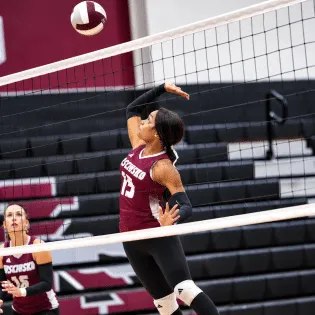 Lady Whippets sweep Houston to advance in 4A playoffs