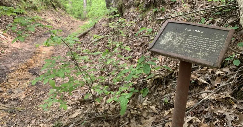 Walk in the woods a trip backward through time