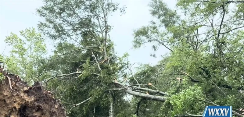Self-Report Hurricane Isaias damage to MEMA