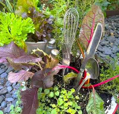 Gestalt Gardener: Consider winter edimentals in recycled pots