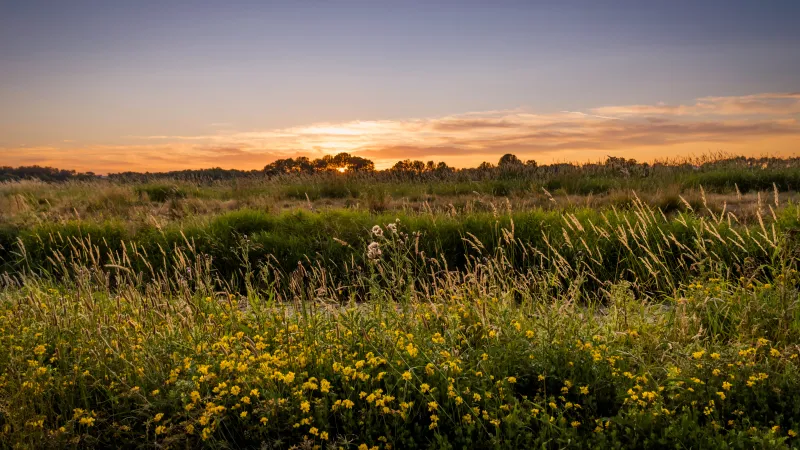 Conservation Corner: National Wildlife Refuge Week