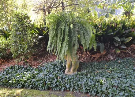 Ground covers are key tools to finish gardens