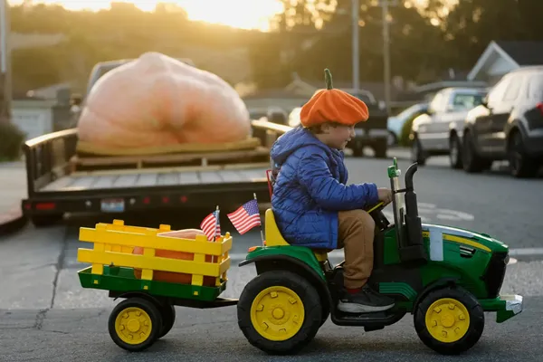 Giant pumpkins battle for heavyweight glory and the world record in California